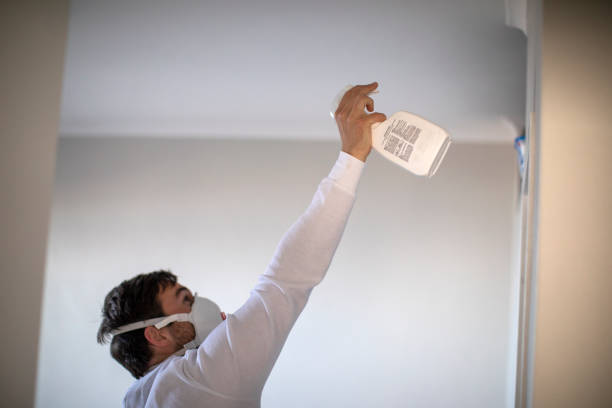 Best Local Mold Removal Service  in Renova, MS